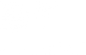 Dv