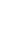 Vector 1 (1)